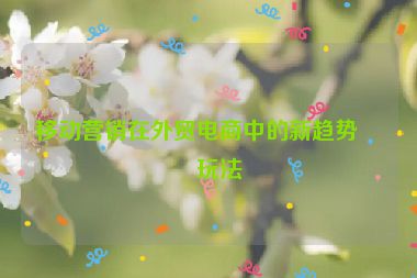 移動(dòng)營銷在外貿(mào)電商中的新趨勢(shì)與玩法