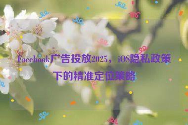 Facebook廣告投放2025，iOS隱私政策下的精準(zhǔn)定位策略