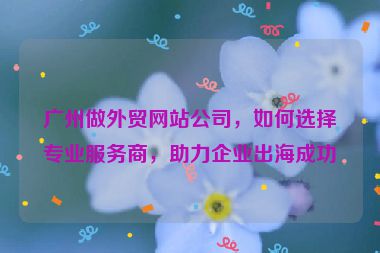 廣州做外貿(mào)網(wǎng)站公司，如何選擇專業(yè)服務(wù)商，助力企業(yè)出海成功