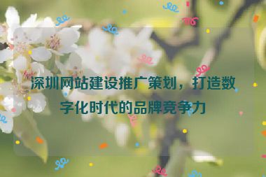 深圳網(wǎng)站建設(shè)推廣策劃，打造數(shù)字化時代的品牌競爭力