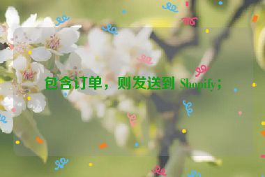 包含訂單，則發(fā)送到 Shopify；