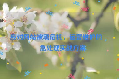 應(yīng)對網(wǎng)站被黑危機(jī)，運(yùn)營維護(hù)的應(yīng)急處理實(shí)戰(zhàn)方案