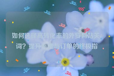 如何選擇高轉(zhuǎn)化率的外貿(mào)網(wǎng)站關(guān)鍵詞？提升流量與訂單的終極指南