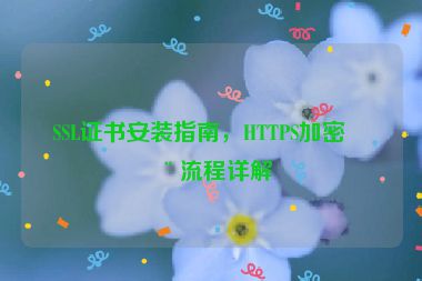 SSL證書安裝指南，HTTPS加密全流程詳解