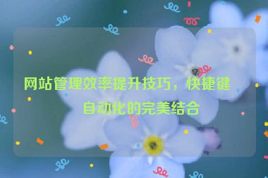 網(wǎng)站管理效率提升技巧，快捷鍵與自動(dòng)化的完美結(jié)合