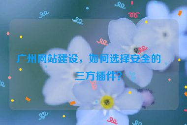 廣州網(wǎng)站建設(shè)，如何選擇安全的第三方插件？