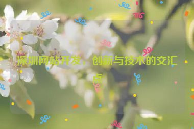 深圳網(wǎng)站開發(fā)，創(chuàng)新與技術(shù)的交匯點(diǎn)