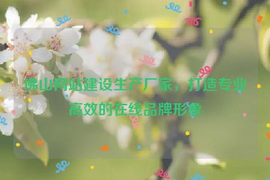 佛山網(wǎng)站建設(shè)生產(chǎn)廠家，打造專業(yè)高效的在線品牌形象