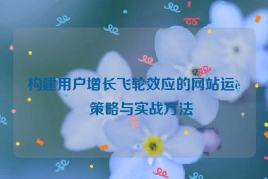 構(gòu)建用戶增長(zhǎng)飛輪效應(yīng)的網(wǎng)站運(yùn)營(yíng)策略與實(shí)戰(zhàn)方法