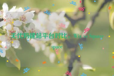 無代碼建站平臺對比，Wix vs Squarespace