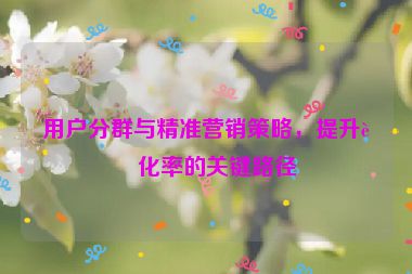 用戶分群與精準(zhǔn)營(yíng)銷策略，提升轉(zhuǎn)化率的關(guān)鍵路徑