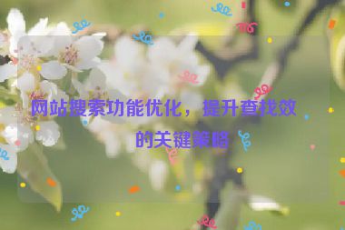 網站搜索功能優(yōu)化，提升查找效率的關鍵策略