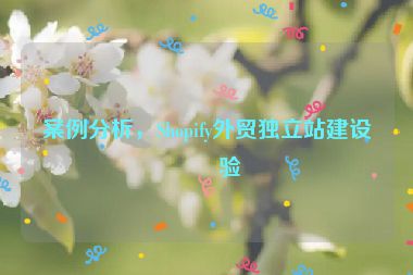 案例分析，Shopify外貿(mào)獨立站建設(shè)經(jīng)驗