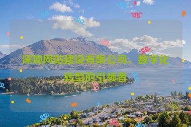 深圳網(wǎng)站建設(shè)有限公司，數(shù)字化轉(zhuǎn)型的引領(lǐng)者