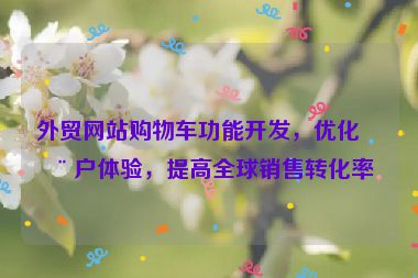 外貿(mào)網(wǎng)站購物車功能開發(fā)，優(yōu)化用戶體驗，提高全球銷售轉(zhuǎn)化率