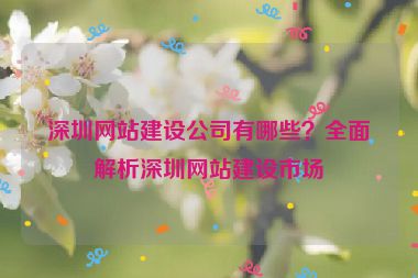 深圳網(wǎng)站建設(shè)公司有哪些？全面解析深圳網(wǎng)站建設(shè)市場