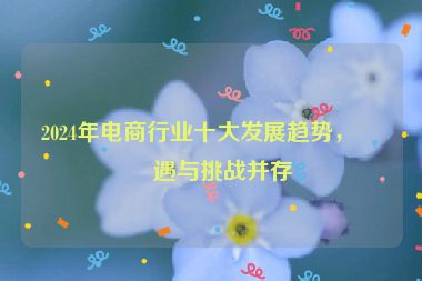 2024年電商行業(yè)十大發(fā)展趨勢(shì)，機(jī)遇與挑戰(zhàn)并存
