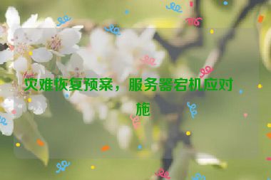 災(zāi)難恢復(fù)預(yù)案，服務(wù)器宕機(jī)應(yīng)對措施