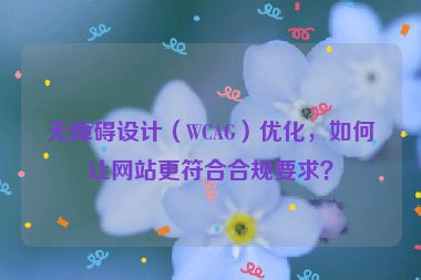 無障礙設(shè)計（WCAG）優(yōu)化，如何讓網(wǎng)站更符合合規(guī)要求？
