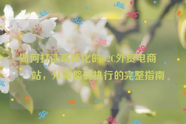 如何打造高轉(zhuǎn)化的B2C外貿(mào)電商網(wǎng)站，從策略到執(zhí)行的完整指南