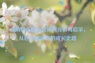 成功網(wǎng)站的運(yùn)營(yíng)案例分析與啟示，從巨頭到新秀的成長(zhǎng)之路