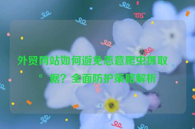 外貿(mào)網(wǎng)站如何避免惡意爬蟲抓取數(shù)據(jù)？全面防護(hù)策略解析