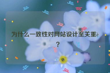 為什么一致性對網(wǎng)站設(shè)計至關(guān)重要？