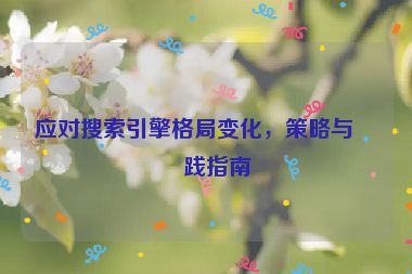 應(yīng)對搜索引擎格局變化，策略與實踐指南