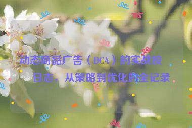 動態(tài)商品廣告（DCA）的實戰(zhàn)投放日志，從策略到優(yōu)化的全記錄