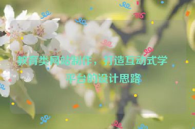 教育類網(wǎng)站制作，打造互動(dòng)式學(xué)習(xí)平臺(tái)的設(shè)計(jì)思路
