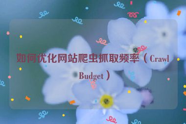 如何優(yōu)化網(wǎng)站爬蟲抓取頻率（Crawl Budget）