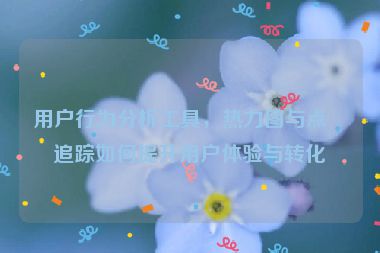 用戶行為分析工具，熱力圖與點擊追蹤如何提升用戶體驗與轉化率