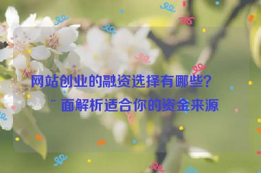 網(wǎng)站創(chuàng)業(yè)的融資選擇有哪些？全面解析適合你的資金來源