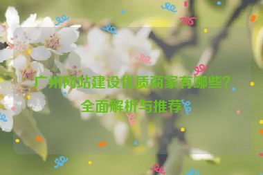 廣州網(wǎng)站建設(shè)優(yōu)質(zhì)商家有哪些？全面解析與推薦