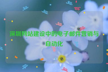 深圳網(wǎng)站建設(shè)中的電子郵件營銷與自動(dòng)化