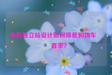 電商獨立站設(shè)計如何降低購物車棄置率？