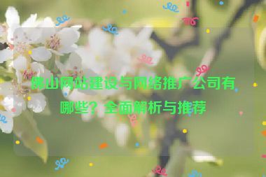 佛山網(wǎng)站建設(shè)與網(wǎng)絡(luò)推廣公司有哪些？全面解析與推薦