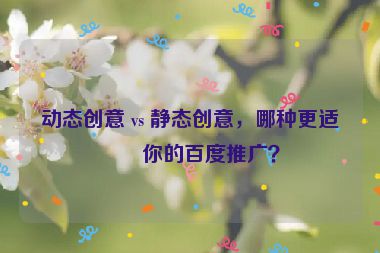 動態(tài)創(chuàng)意 vs 靜態(tài)創(chuàng)意，哪種更適合你的百度推廣？