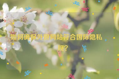 如何確保外貿(mào)網(wǎng)站符合國際隱私法規(guī)？
