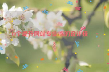 10個(gè)提升網(wǎng)站專業(yè)感的設(shè)計(jì)技巧