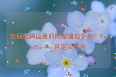 如何選擇適合的網(wǎng)站建設(shè)平臺？WordPress vs 自定義開發(fā)