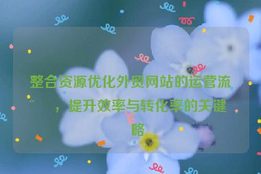 整合資源優(yōu)化外貿(mào)網(wǎng)站的運(yùn)營流程，提升效率與轉(zhuǎn)化率的關(guān)鍵策略