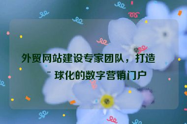 外貿(mào)網(wǎng)站建設(shè)專家團(tuán)隊(duì)，打造全球化的數(shù)字營(yíng)銷門戶
