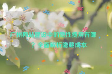 廣州網(wǎng)站建設(shè)中的隱性費(fèi)用有哪些？全面解析隱藏成本