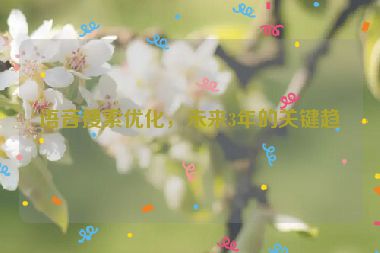 語音搜索優(yōu)化，未來3年的關(guān)鍵趨勢