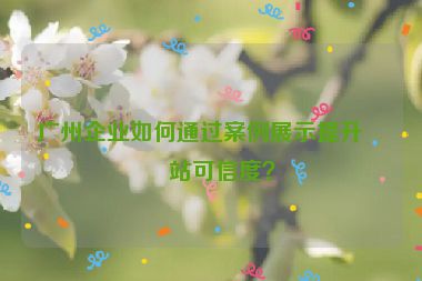 廣州企業(yè)如何通過(guò)案例展示提升網(wǎng)站可信度？