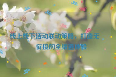 線上線下活動(dòng)聯(lián)動(dòng)策略，打造無(wú)縫銜接的全渠道體驗(yàn)