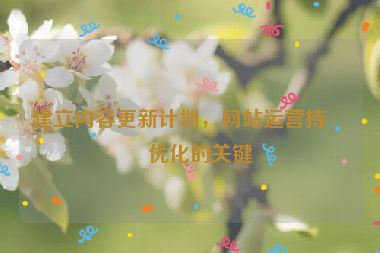 建立內(nèi)容更新計劃，網(wǎng)站運(yùn)營持續(xù)優(yōu)化的關(guān)鍵