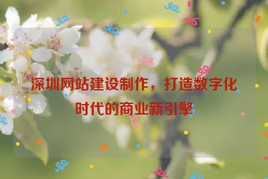 深圳網(wǎng)站建設(shè)制作，打造數(shù)字化時代的商業(yè)新引擎