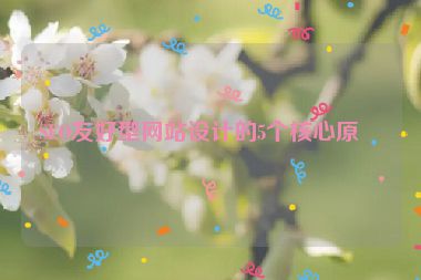 SEO友好型網(wǎng)站設(shè)計的5個核心原則